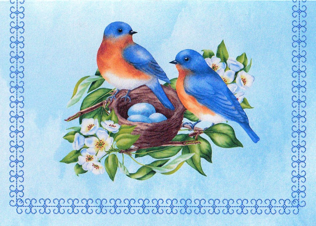Bluebird and Nest