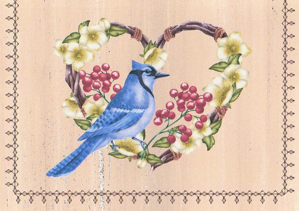 Bluejay Heart