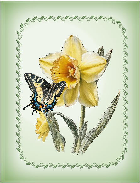daffodill Swallowtail